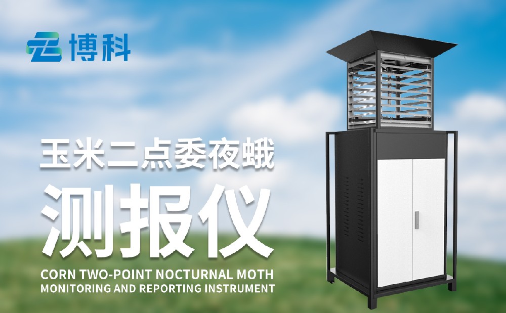玉米二點(diǎn)委夜蛾的危害性和治理手段，玉米二點(diǎn)委夜蛾監(jiān)測(cè)儀